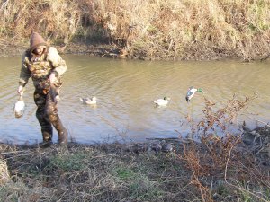 The A, B, C's of Duck Hunting