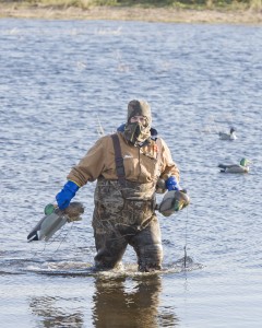 Decoy Spread Tips for Duck Hunting in Missouri