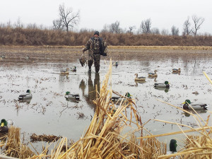 Duck Hunting Outfitter: Your Essential Gear Checklist