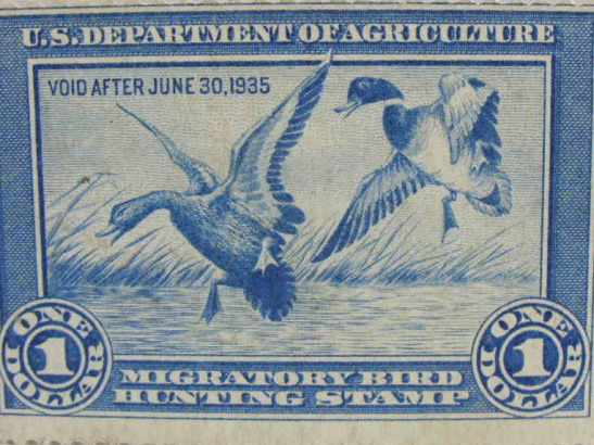 The Federal Duck Stamp History and Costs | DuckHuntingMissouri.com